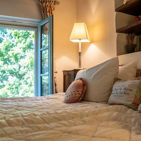 Domaine Des Tilleuls D'Or Saint-Cézaire-sur-Siagne 部屋 写真