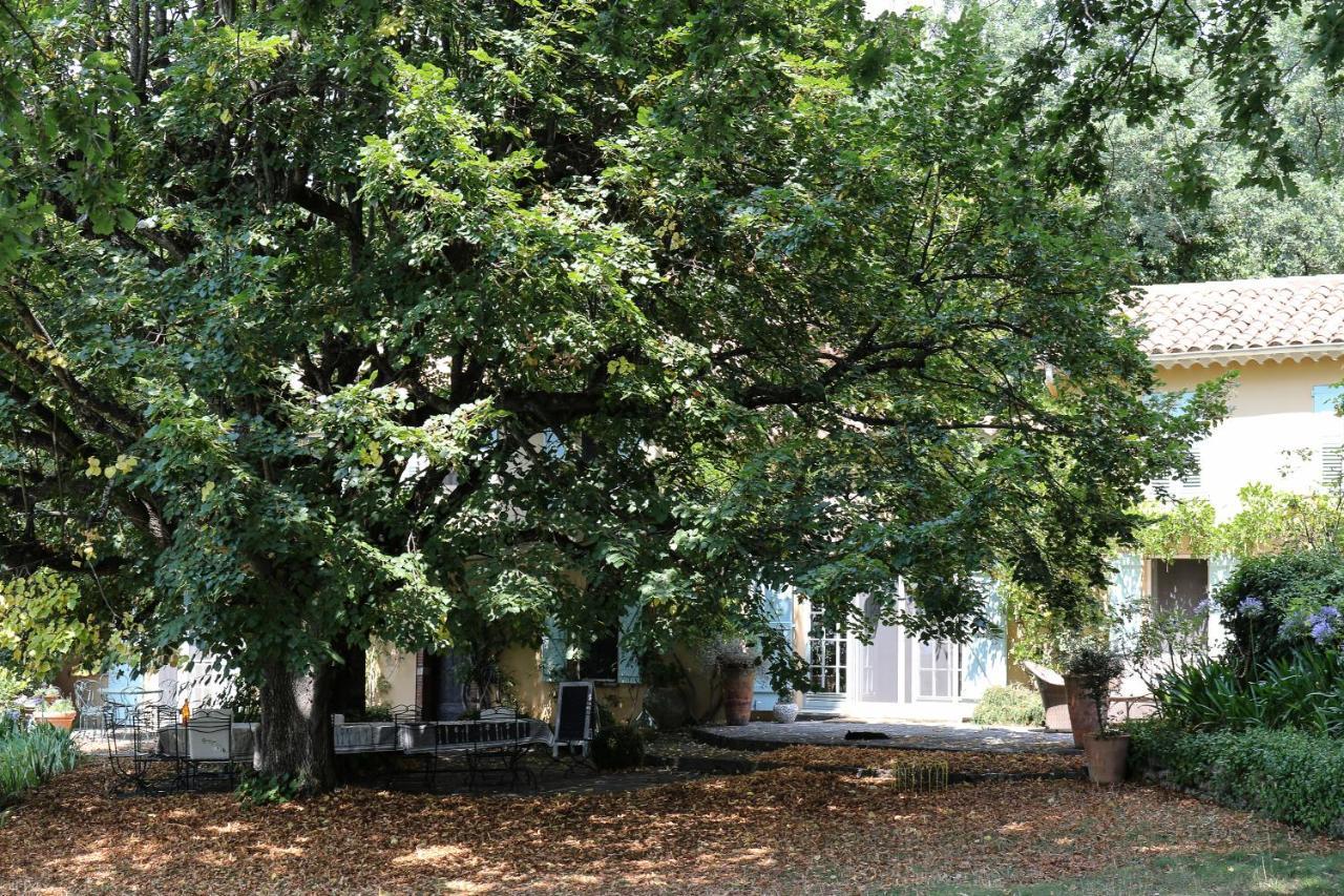 Domaine Des Tilleuls D'Or Saint-Cézaire-sur-Siagne エクステリア 写真