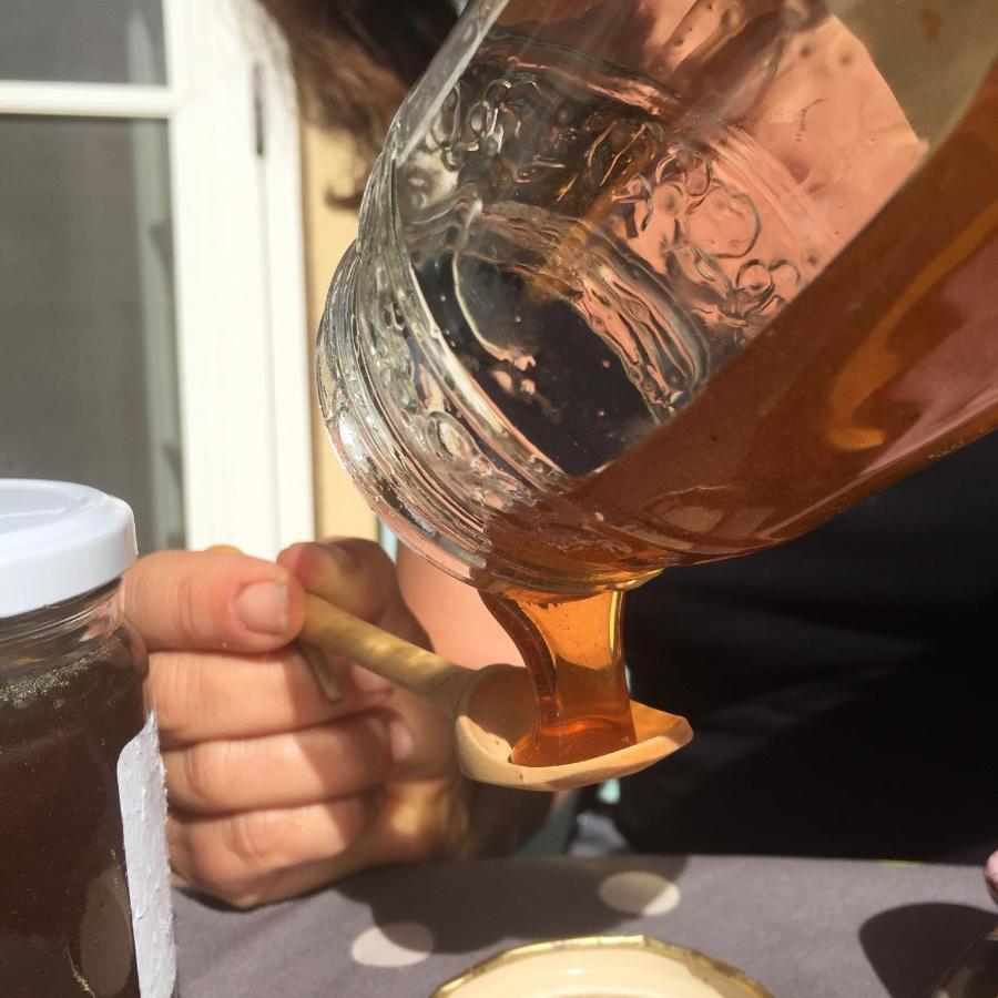 Domaine Des Tilleuls D'Or Saint-Cézaire-sur-Siagne エクステリア 写真