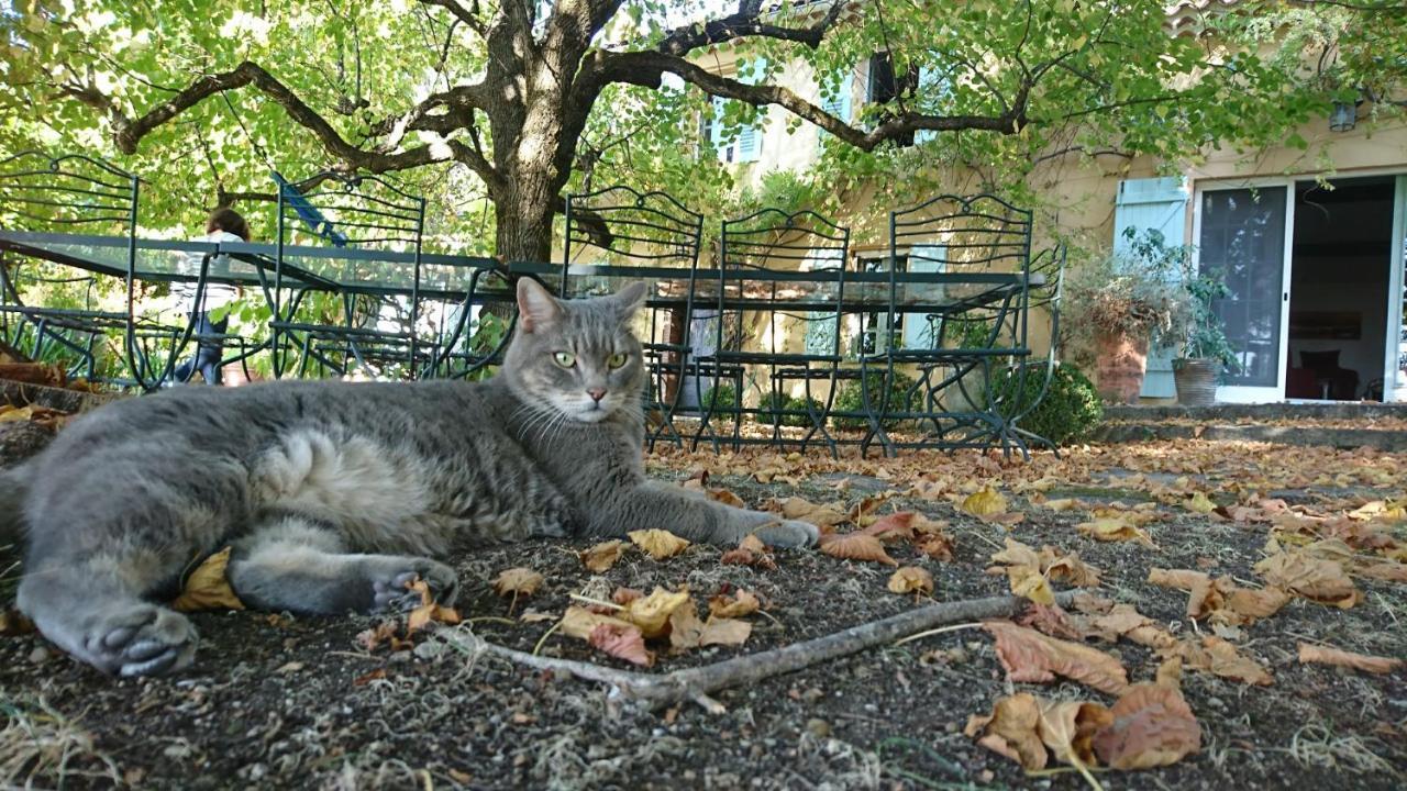 Domaine Des Tilleuls D'Or Saint-Cézaire-sur-Siagne エクステリア 写真
