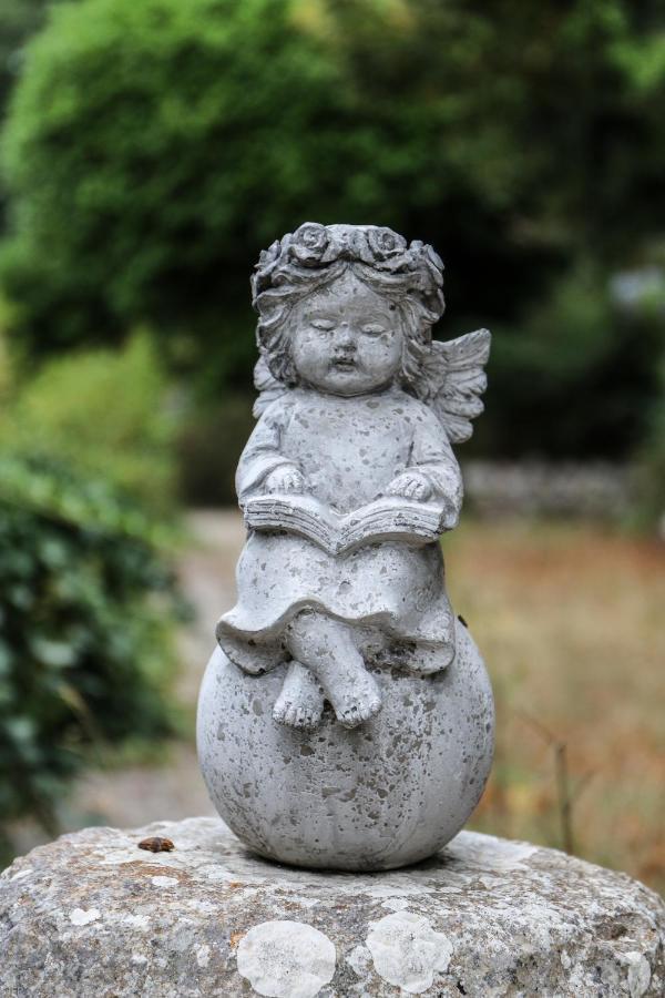 Domaine Des Tilleuls D'Or Saint-Cézaire-sur-Siagne エクステリア 写真