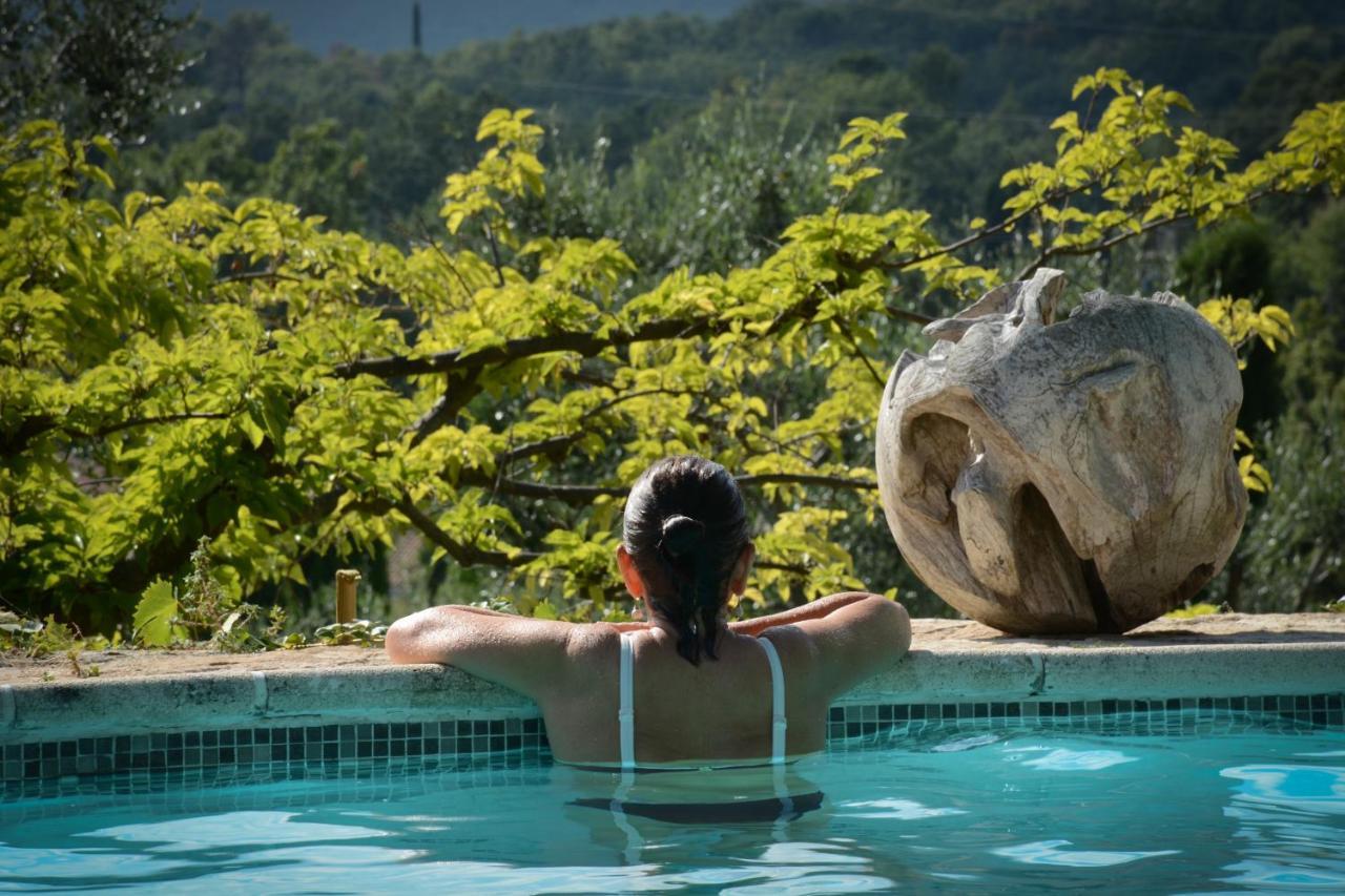 Domaine Des Tilleuls D'Or Saint-Cézaire-sur-Siagne エクステリア 写真