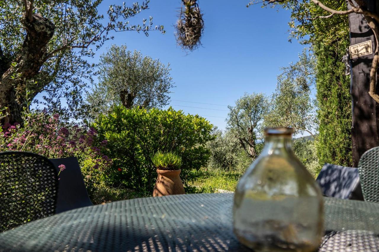 Domaine Des Tilleuls D'Or Saint-Cézaire-sur-Siagne 部屋 写真