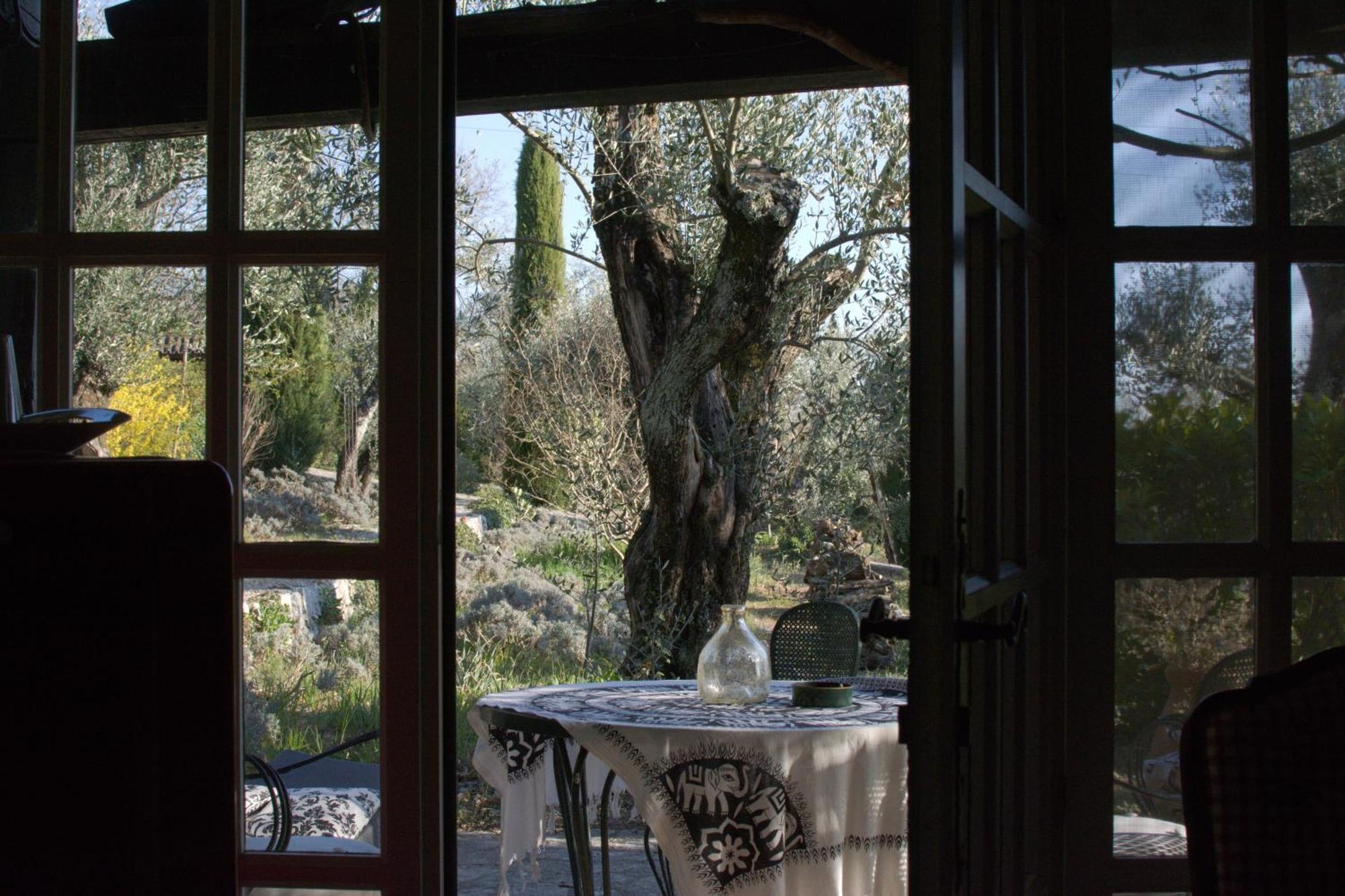 Domaine Des Tilleuls D'Or Saint-Cézaire-sur-Siagne 部屋 写真